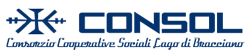 Consol Logo